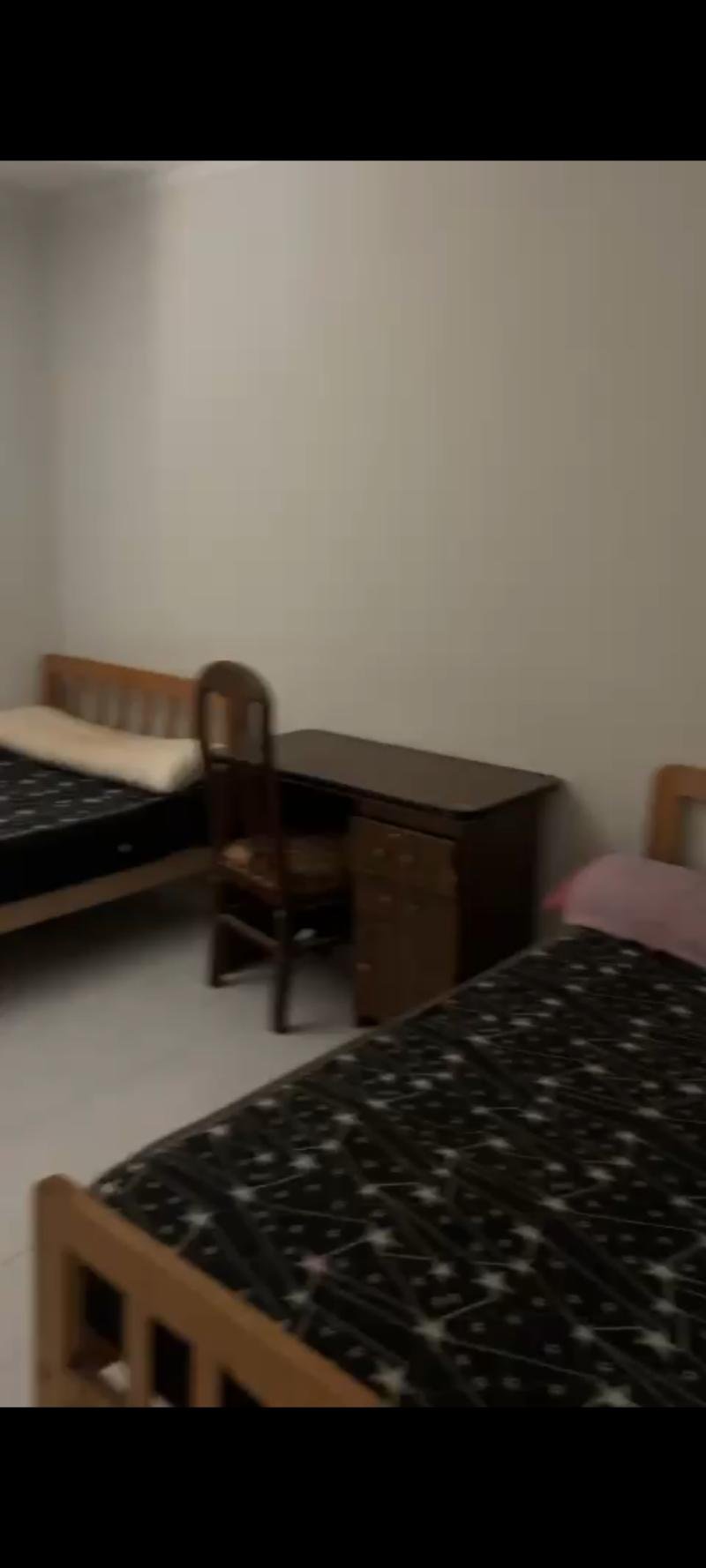 شقه للايجار