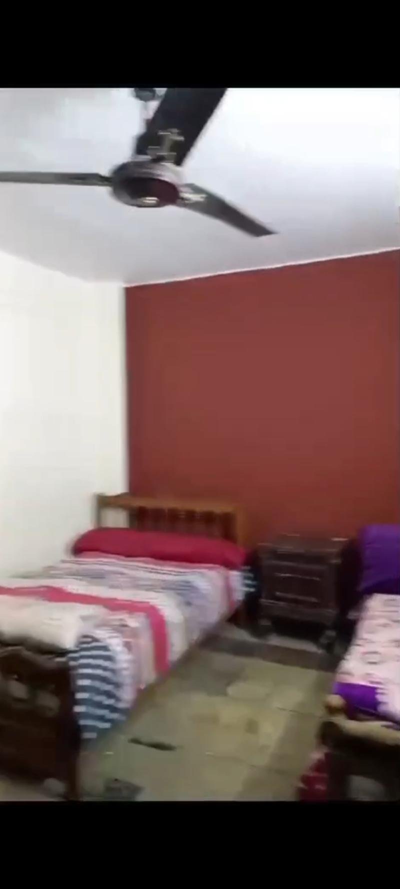 شقه للايجار